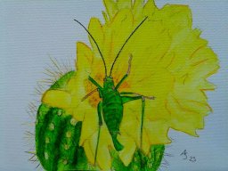 Drawn Pictures